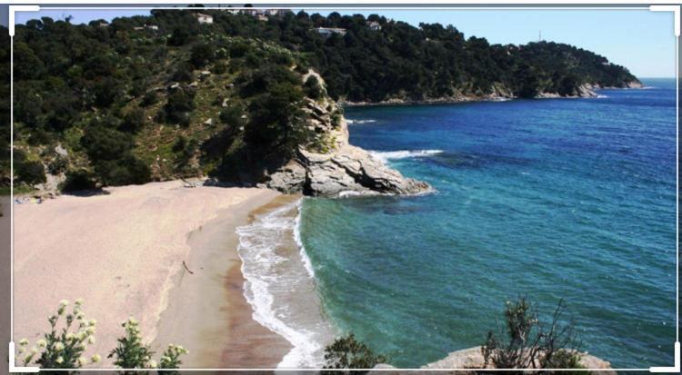Cavalaire Vue Mer Au Loin Maisonnette Tout Equipee Pour 4 Personnes Avec Piscine Clim Wifi Velos Tv Barbecues Eksteriør bilde